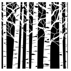 TCW252 Aspen Trees