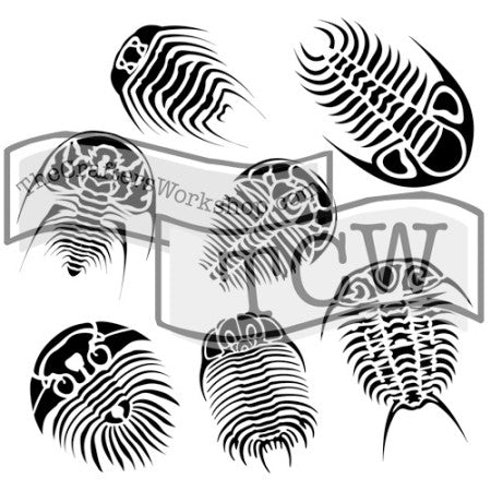 TCW501 Trilobites