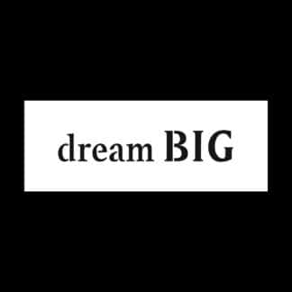 TCW2189 Dream Big