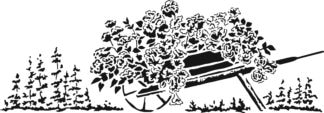 TCW2401 Flowery Wheelbarrow